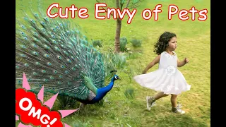 OMG Animals SOO Cute - Funny PETS Peacock Attacking People Cute Pets Compilation 2021