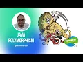 Quick Dive Mastering Java Polymorphism in Just 10 Minutes