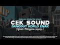 Lagu CEK SOUND DANGDUT KOPLO SABAR ENAK DI DENGAR PASTI TETANNGA IKUT GOYANG