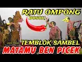 Download Lagu BAGONG LUCU NYAMBEL BOLODEWO,,PAGELARAN WAYANG KULIT DALANG SENO NUGROHO