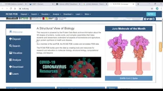 Introducing protein databases RCSB database
