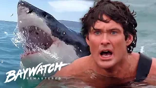 great white shark attack on baywatch will mitch save jill baywatch remastered
