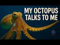 My Octopus Communicates With Me