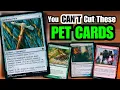 The True Core of Commander Pet Cards