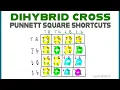 Dihybrid Cross Punnett Squares MCAT Shortcut Mendelian Genetics Part 2