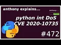 python int DoS vulnerability CVE 2020-10735 beginner - intermediate anthony explains
