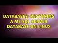 Databases Restoring a MS SQL Server database on Linux