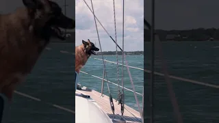 🇺🇸WELCOME TO MERICA! 🇺🇸See you Sunday for our first episode of our USA series!!! #sailing #boatlife