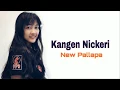 Download Lagu Kangen Nickerie - Jihan Audi New Pallapa (cipt. didi kempot)