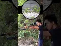 Download Lagu Cheapest Airgun in the Philippines #philippines