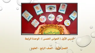 الدرس الأول الحواس الخمس الوحدة الرابعة العلوم الصف الرابع الفصل الأول 