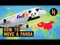 Download Lagu Why China Took the US’ Pandas