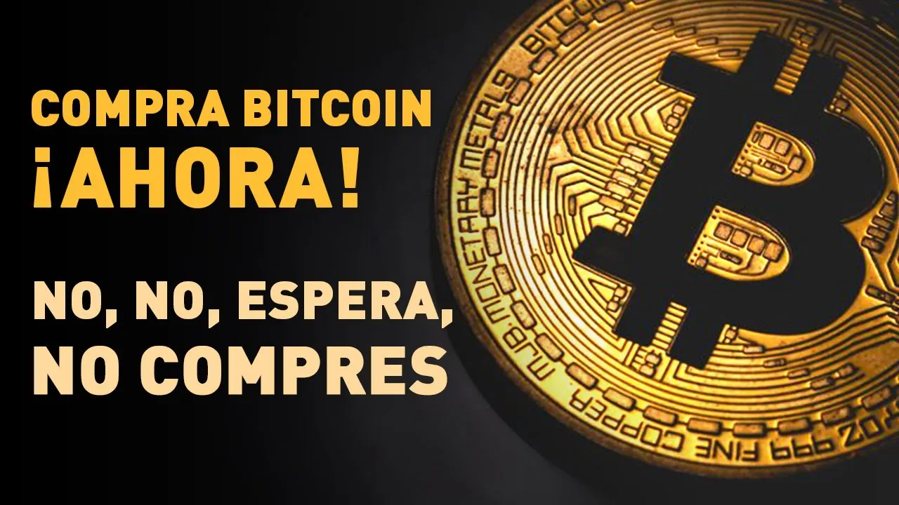 ¿Es el bitcoin una estafa? Para saberlo debes conocer la primera burbuja especulativa de la historia