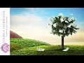 Attract Unexpected Wealth in 11 Minutes with Booster REQUESTED Help Attract Money Abundance