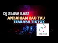 Download Lagu DJ ANDAIKAN ENGKAU TAU AKU MENCINTAIMU TERBARU 2021