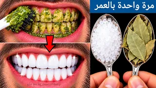                                                                                                      دندنها