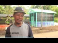 Download Lagu Hutan Desa Manjau - Menjaga yang Tersisa