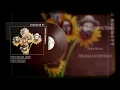 The Head And The Heart - Missed Connection (Vinyl Visualizer)