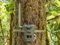 SpyPoint Flex M Trail Cam Review