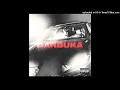 Download Lagu Petre Stefan - Darbuka [FARA Nane]