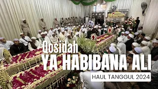 Download QOSIDAH YA HABIBANA ALI |HAUL TANGGUL KE 48| HABIB SHOLEH TANGGUL |20 APRIL 2024 MP3