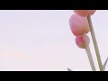 Charlotte Day Wilson ~ Forever ft. Snoh Aalegra (slowed)