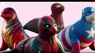 Superheroes but seal animal 💥Marvel & DC-All Characters#spiderman #marvel #avengers #shorts 