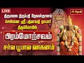 Lagu 🔴LIVE: திருப்பதி தேவஸ்தானம் சென்னை ஸ்ரீபத்மாவதிதாயார் கோயில் பிரம்மோற்சவம் சர்வ பூபால வாகனம்