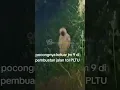 Download Lagu UDA GA KAGET KALO ADA INI DI PLTU PAITON💀 #viral #shorts #jin #ghost #pocong #penampakan #hantu