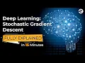 Deep Learning Stochastic Gradient Descent