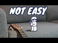 Download Lagu Guess the song, Rabbert! (animated tik tok)