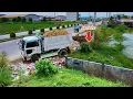 Download Lagu Perfectly Be Mindful Processing Landfill Task! using Truck Dumping Soil \u0026 Dozer Push Stone into Pond