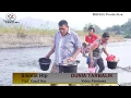 Download Lagu Dunia tarbalik lagu tapsel terbaru
