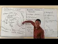Nitrogen Cycle JAMB 2026 Most Students Fail This Watch Now