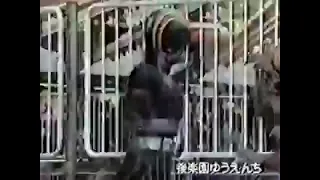 Liveman Live Show In Tokyo Dome City Commercial 1988 