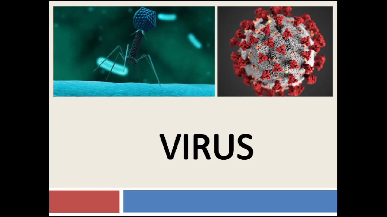 Microbiology of VIRUS Part 1: Properties, Morphology, Symmetry, Bacteriophages, Classification