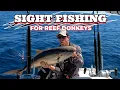 Offshore Fishing St Augustine FL Hard-Hitting Reef Monsters