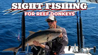 Offshore Fishing St Augustine FL Hard-Hitting Reef Monsters