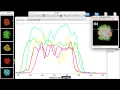 plot profile intensity for four fluorescent image in ImageJ how to plot profile intensity in imageJ