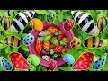 Download Lagu Wadidaw! Mencari kaki seribu, luwing, siput bekicot, ikan, belut, ikan hias,bebek lucu,kelomang,kura
