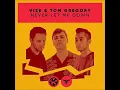 VIZE - Never Let Me Down (Audio) ft. Tom Gregory