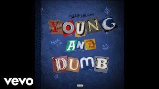 Sleepy Hallow - Young & Dumb (Audio)