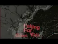 Amelie Lens - Falling For You (DizzyDay'z Melodic Techno Rework Mix)
