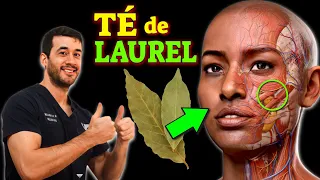 DISEASES that HEAL with LAUREL TEA (HOW TO USE IT)