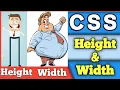 CSS height width tutorial Css Height and width