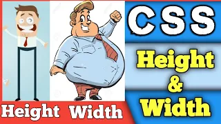 CSS height width tutorial Css Height and width