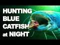 Why Smart Anglers Fish for Blue Catfish at Night