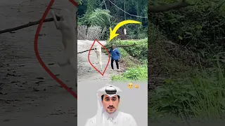 A Dog Stays Loyal But Some Humans Sell It For Gain Like Fyp Shorts Viral 