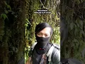 Download Lagu Proses pencarian ular hitam di kaki gunung tidak semudah yang d bayangkan