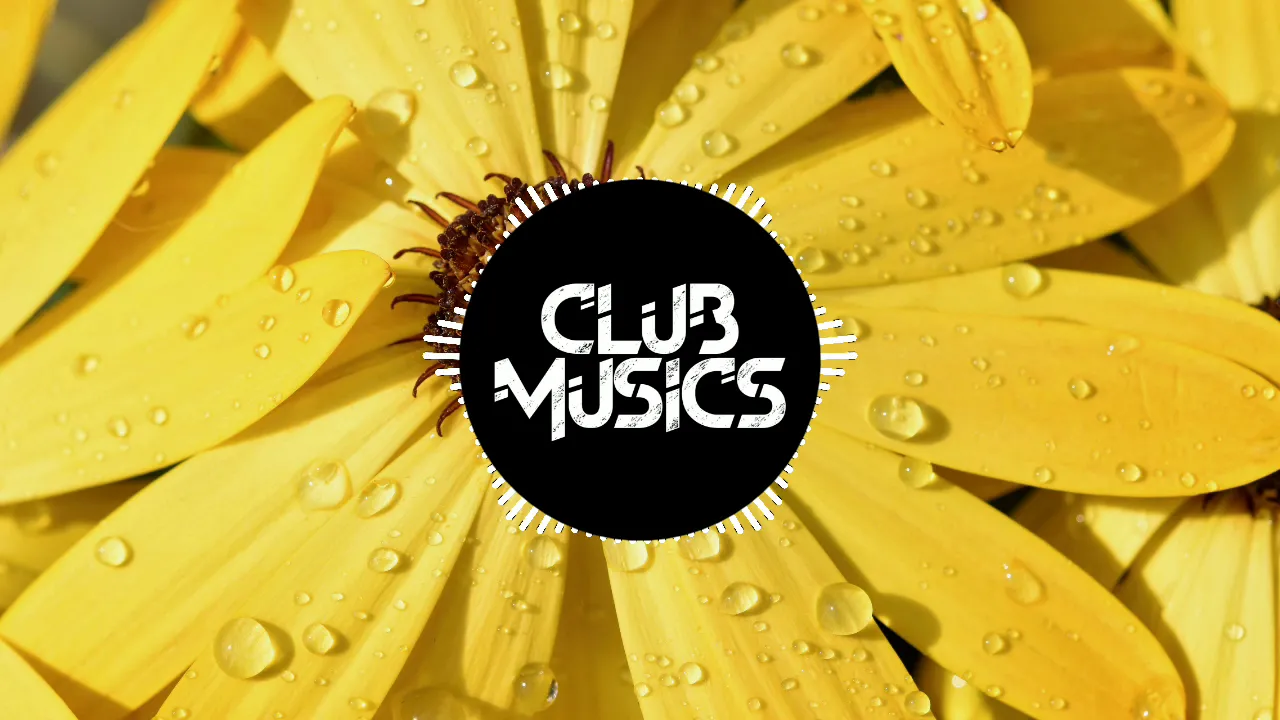 Chashni - Bharat - Future Bass - Dj Sahil Remix || Club Musics ||